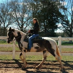 Meet your Posher, Amanda